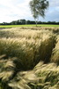 Umgebung