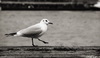 Umgebung
